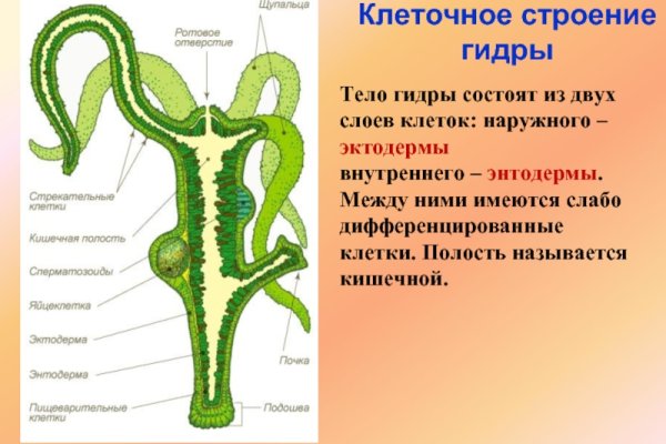 Kra36.cc